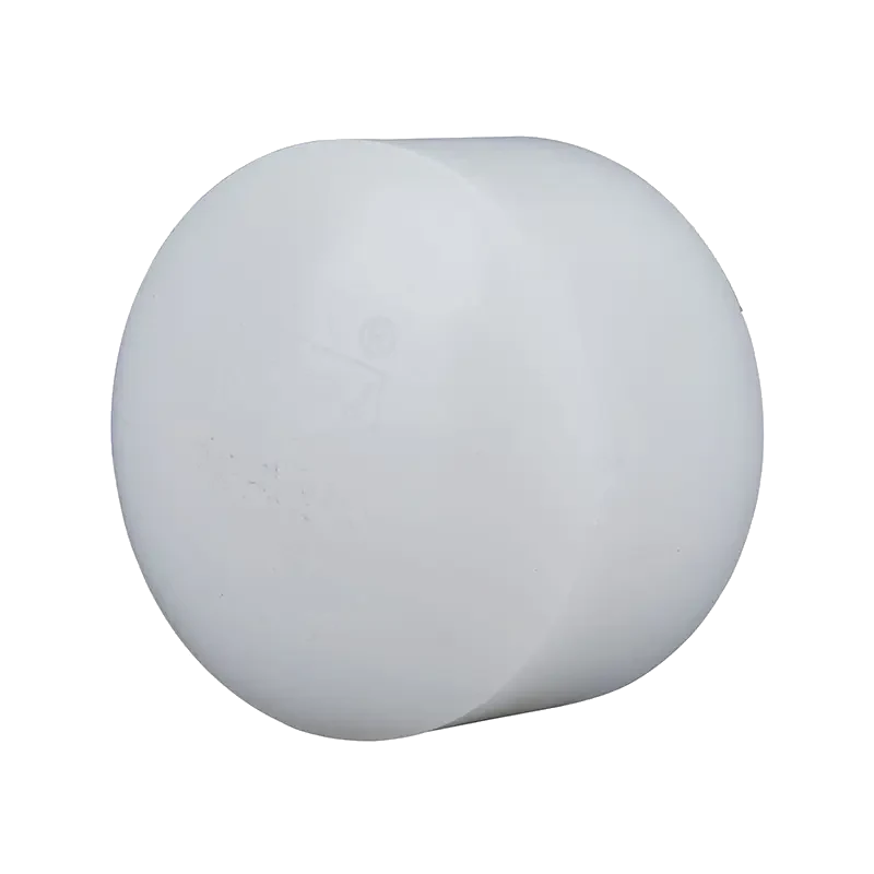 PVDF End Cap Image