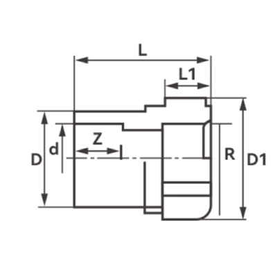 PVDF FEMALE THREADED ADAPTER Diagram