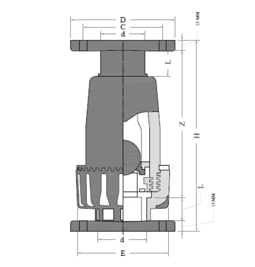 PVDF Wafer Check Valve Image Drawing