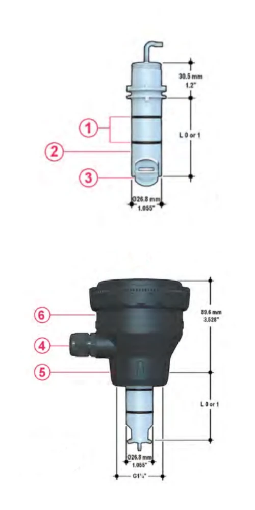 PADDLEWHEEL FLOW TRANSMITTER - FLS F6.30 Drawing