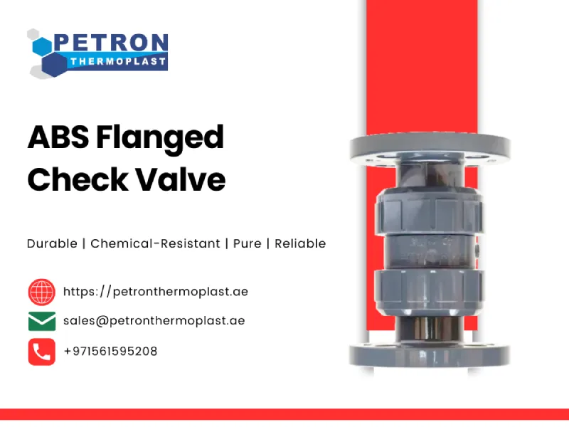 ABS Flanged Check Valves Graphics
