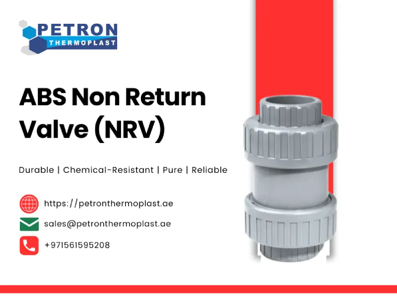 ABS Non Return Valve (NRV) Graphics