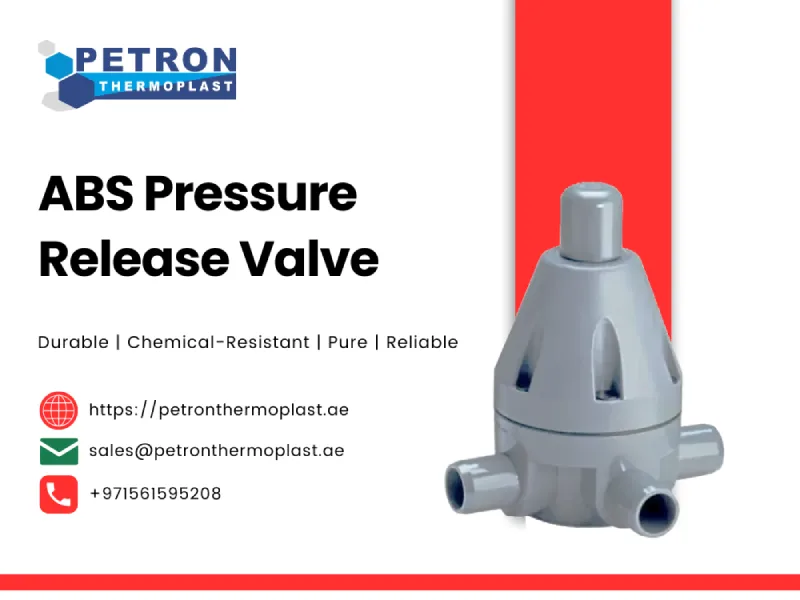 ABS Pressure Release Valve Image Graphics