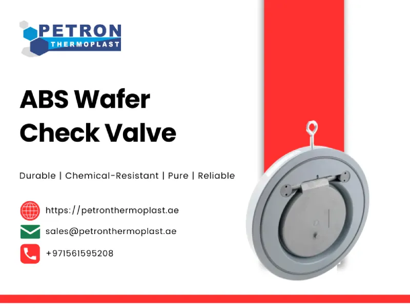 ABS Wafer Check Valve Images