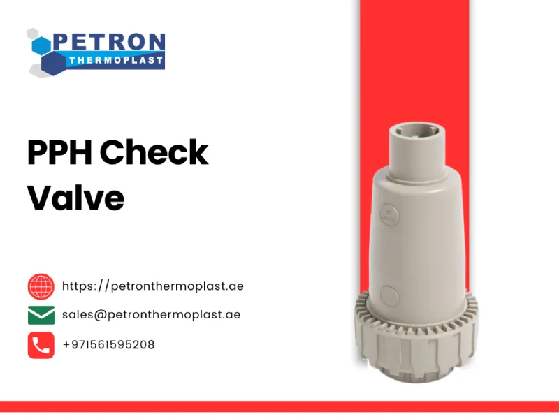 PPH Check Valve Graphics