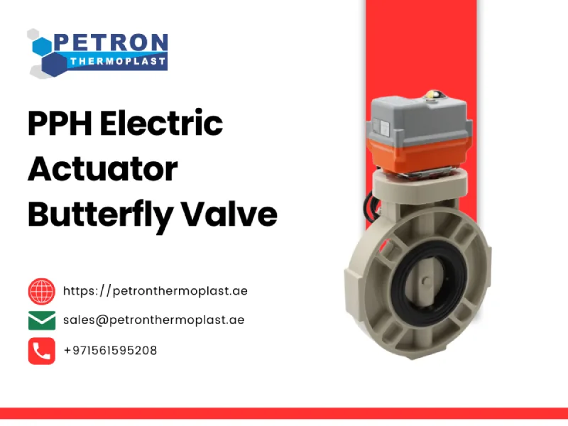 PPH Electric Actuator Butterfly Valve Graphics