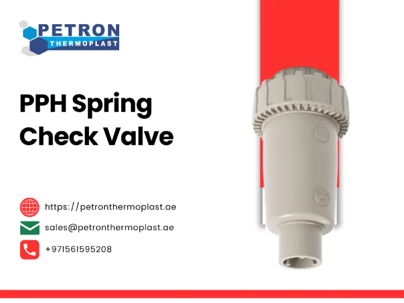 PPH Spring Check Valve Graphics