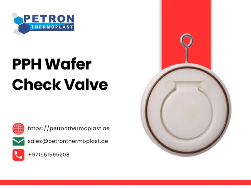 PPH Wafer Check Valve Graphics