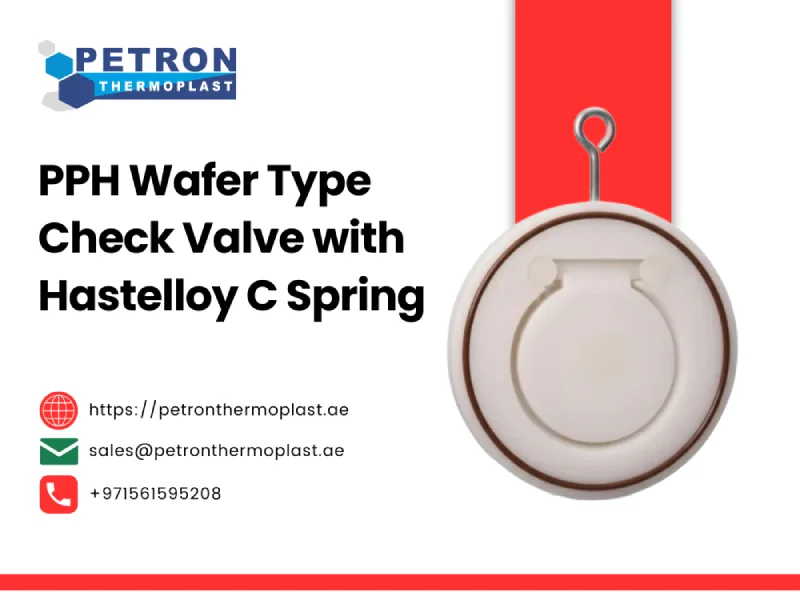 PPH Wafer Check Valve with Hastelloy C Spring Graphics