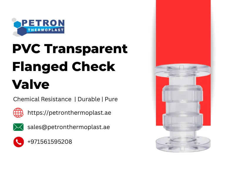 PVC Transparent Flanged Check Valve Graphics