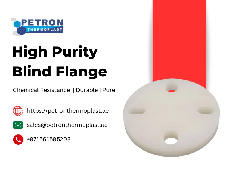 High Purity Blind Flange Graphics